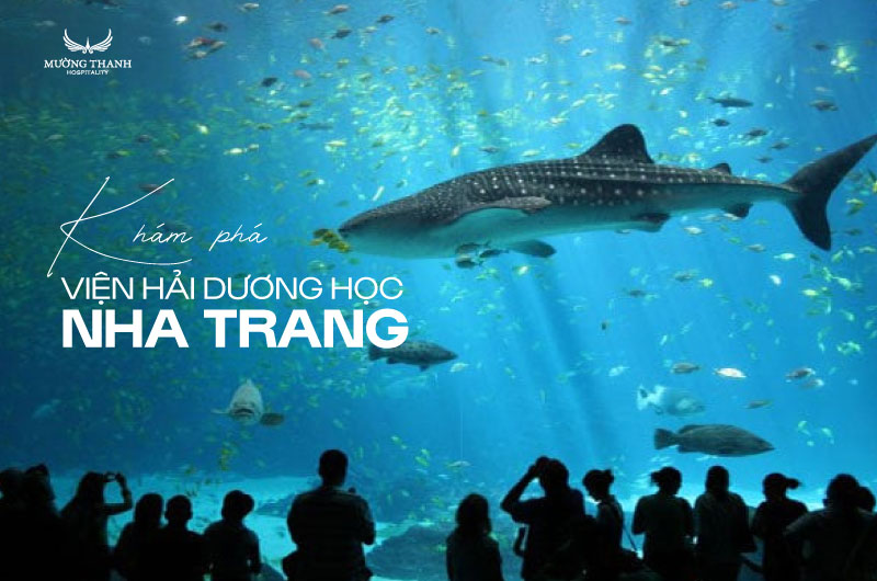 images/news/2025/07/original/vien-hai-duong-hoc-nha-trang_1751429744.jpg